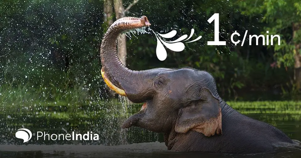call india from usa